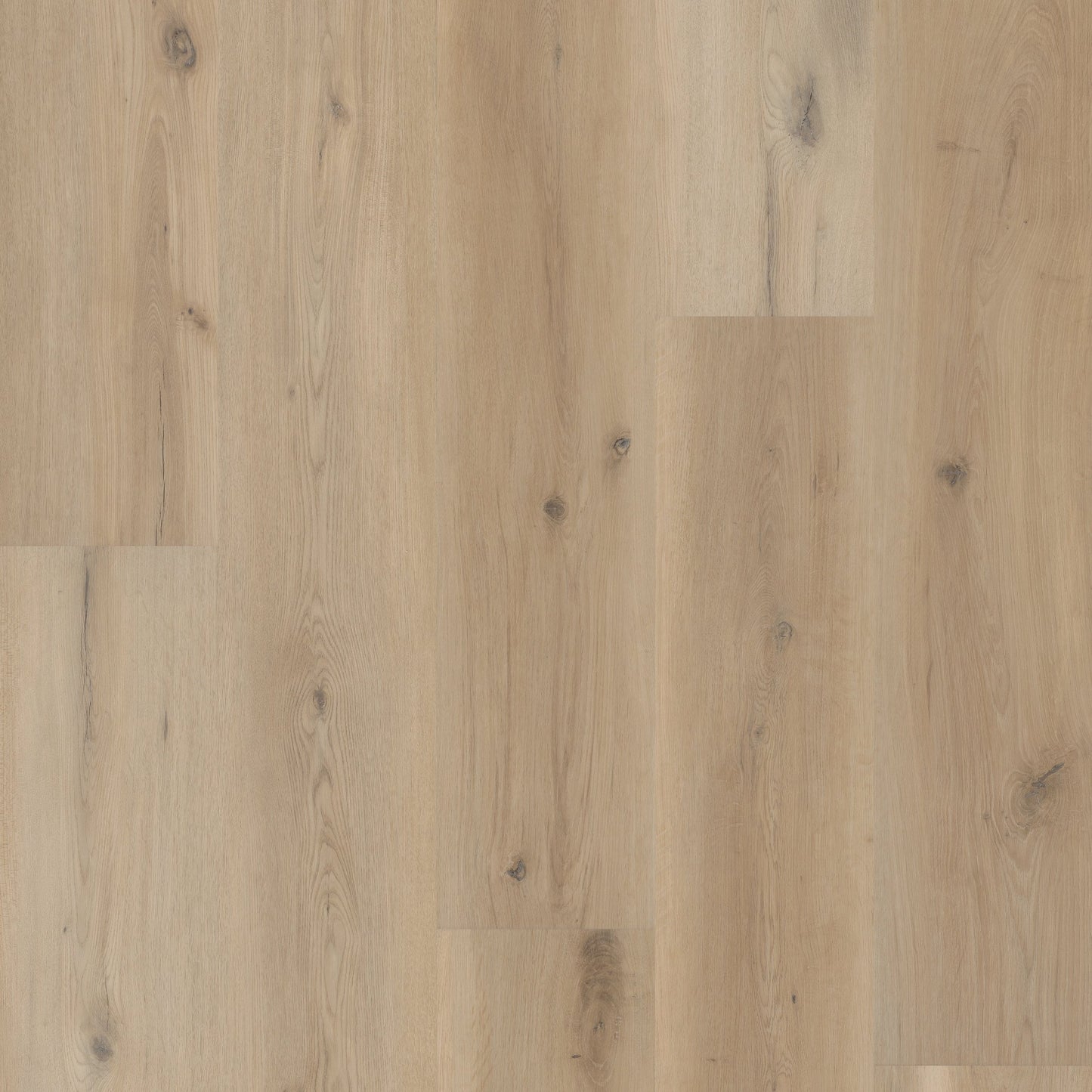 Coretec Originals Premium 9" VV810 Vinyl Planks